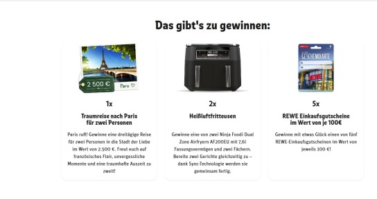 REWE - 1x1 Reise nach Paris für 2 Personen 2x1 Ninja Foodi Dual und 5x1 Rewe Einkaufsgutschein 100 Euro (Produktkauf)