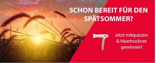 TECWORLD - einen Haartrockner