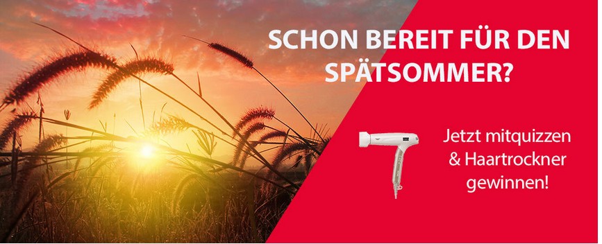 TECWORLD - einen Haartrockner