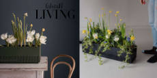 falstaff: ein Balkonpflanzenset von The Plant Box