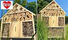 Ein Herz für Tiere: 2 x ein Insektenhotel zu gewinnen! Ein Herz für Tiere: 2 x ein Insektenhotel zu gewinnen!