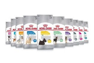 Royal Canin Care Nutrition Hundefutter gratis testen Royal Canin Care Nutrition Hundefutter gratis testen