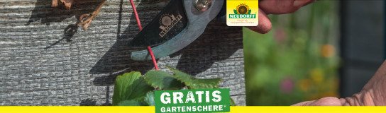 Neudorrf: kostenlose Gartenschere