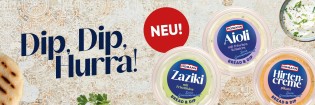 HOMANN Dips gratis testen