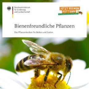 Bundesministerium: gratis Lexikon über bienenfreundliche Pflanzen