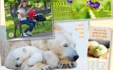 Freundesdienst: verschiedene Kalender gratis