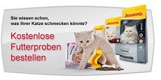 Josera - kostenlose Katzenfutterprobe