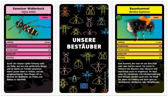 Europäische Union: kostenloses Kartenspiel Europäische Union: kostenloses Kartenspiel
