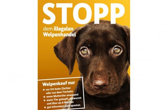 BMEL: Poster & Postkarte 