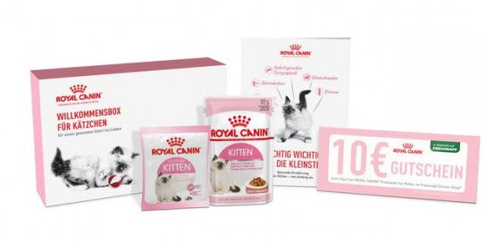 Royal Canin: kostenlose Willkommens-Box für Kätzchen Royal Canin: kostenlose Willkommens-Box für Kätzchen