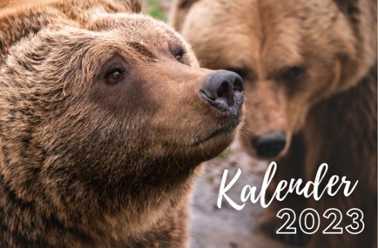 Vier Pfoten: kostenlosen Kalender 2023 gewinnen