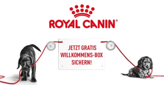 Royal Canin: 21.070 kostenlose Welpen-Boxen für Hunde