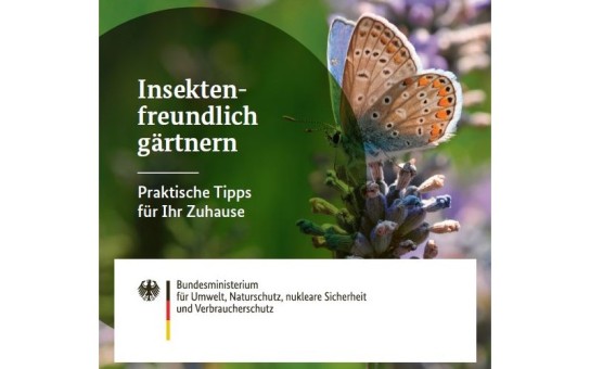 Bundesregierung: gratis Broschüre zum Insektenfreundlichen Gärtnern