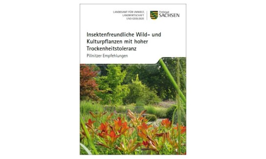 Land Sachsen: kostenloses Heft über insektenfreundliche Wild- & Kulturpflanzen