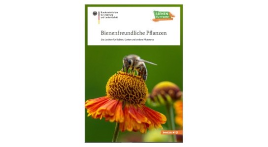 BMEL: gratis Lexikon über bienenfreundliche Pflanzen