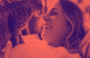 HometesterClub: Katzenfutter von Hill’s im Produkttest