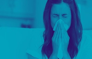 HometesterClub: Taschentücher suchen Produkttester