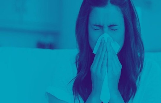 HometesterClub: Taschentücher suchen Produkttester