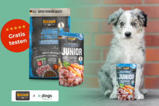 BELCANDO: 10x Hundefutter - Testpakete