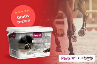 Pavo: 4 Pferdefreunde als Tester für Huf-Kraftpakete gesucht