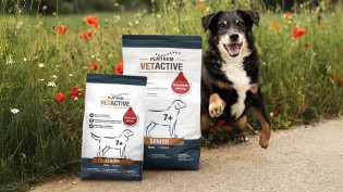 PLATINUM VETACTIVE: 600x Hundenahrung im Produkttest