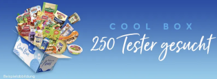 brandnooz: 250 Cool Box Testpersonen gesucht