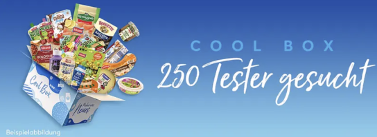 brandnooz: 250 Cool Box Testpersonen gesucht