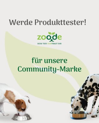 Zoo: Hunde-Trockenfutter Produkttest