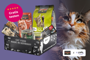 ecats: 2.000 Katzenbesitzer für LEONARDO® Probierboxen gesucht