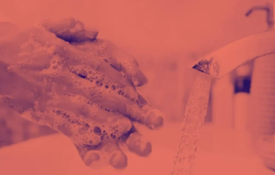 HometesterClub: Palmolive Handseifen-Tester gesucht