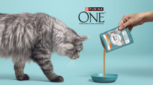 Nestle: Purina ONE® HYDRALIFE sucht 500 Katzenfamilien
