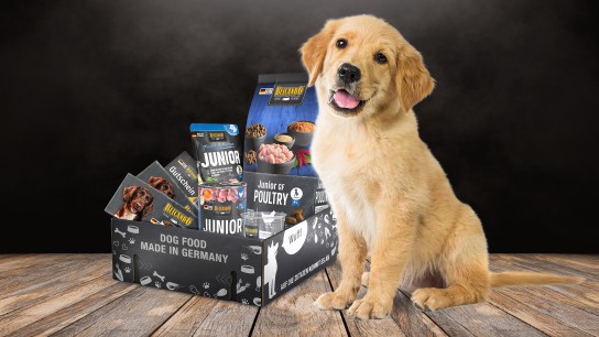 trnd: Hundefutterboxen von BELCANDO im Produkttest