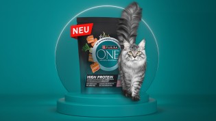 trnd: Testfamilien für PURINA® ONE® Katzenfutter gesucht
