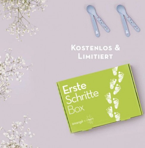 Entdecke die ErsteSchrittebox!
