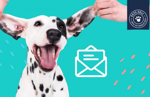 Newsletter abonnieren & Dankeschön erhalten