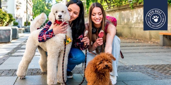 Wirbst du einen neuen Kunden, beispielsweise einen Freund, erhältst du einen 20 Euro Pets Deli...