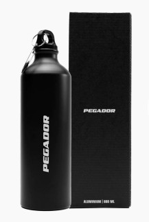 Insulated Bottle