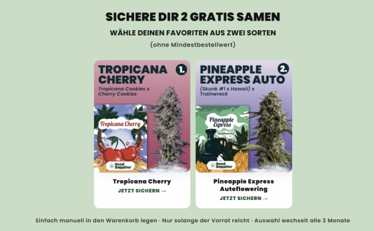 Seed Supplier bietet die Möglichkeit, zwei kostenlose Cannabis-Samen zu ordern. Interessierte können einfach ihren Favoriten...